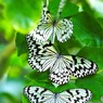 夏の生物園～④