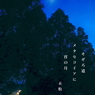 写真句：夕散歩５：宵の月