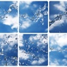 water shape20（６個入り）