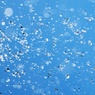 水玉、水空4