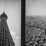 見上げる・見下ろす