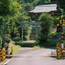 踏切を渡ると鳥居