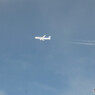 2013.03.24DSC_7806_01