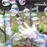 photo_1310103
