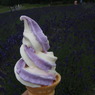 photo_1310107