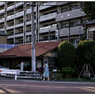 「それぞれの夏」小江戸川越散歩657