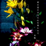 写真句：道端の花16：百合３