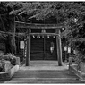 「歩く」小江戸川越散歩660