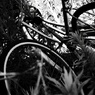 放置自転車 1