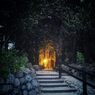 眠れる森の灯