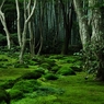 静寂