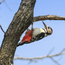 鶴見花博公園の思い出②