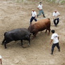 20110802_山古志牛の角突き 213