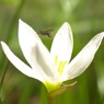 夏も終わる