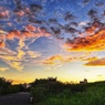 淀川夕景