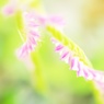 螺旋(らせん)