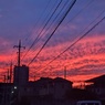 今日の夕焼け