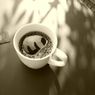 撮るを愉しむ～コーヒー