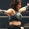 ジョコビッチ4大大会で24回優勝