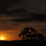 夕暮れ