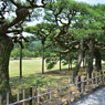 栗林公園にて