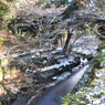 徳川園