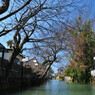 柳川川下り