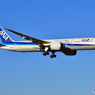 All Nippon Airway
