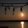 イカ釣り漁船の夕暮れ