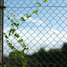 DSCF8921