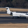Deer Jet