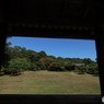 日傘代わりに