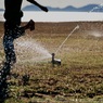 Sprinkler dance☆