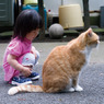 猫　Love　娘