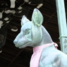 豊川稲荷