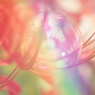 °✧シャボン玉とヒガン花❀