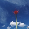 天高く・・・秋の空に、