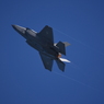 2025 三沢基地航空祭 F-35機動飛行（1回目） その5