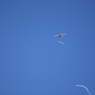 2025 三沢基地航空祭 F-16 その4
