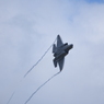 2025 三沢基地航空祭 F-35機動飛行（2回目） その1