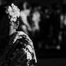 祭りの夜　＃１２