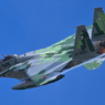 アグレッサー