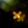 散花歌