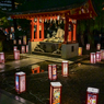 「「浅草燈籠祭」