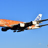 All Nippon Airways