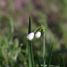 IMGP1205
