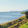 海辺を走る黒い電車