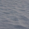 20110226_雪の日の朝 (1)