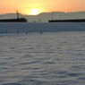 20110226_雪の日の朝 (2)