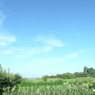 朝５時１